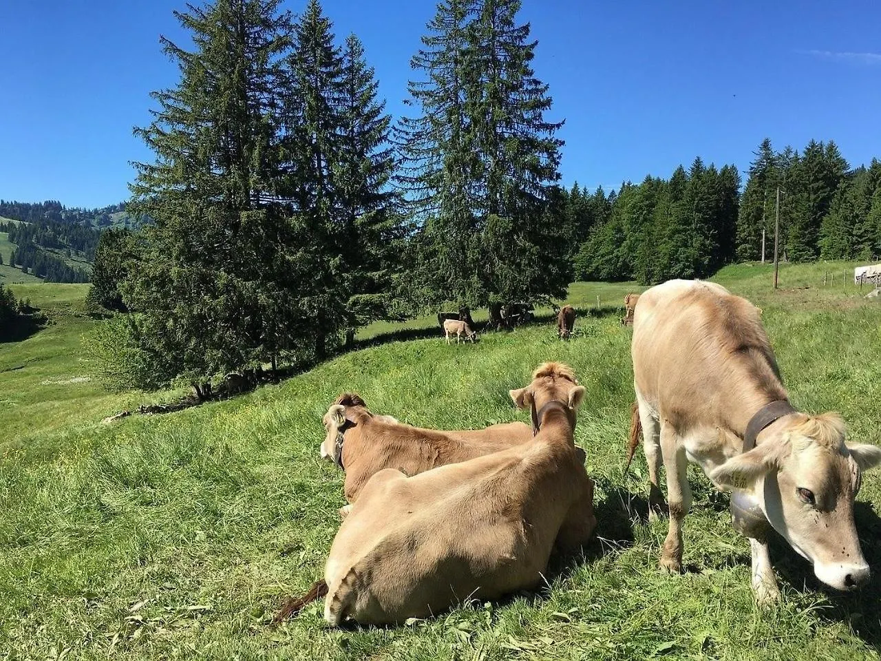 Ferienhaus Nr 82, Kategorie Economy, Feriendorf Hochbergle, Allgaeu Villa Bichel 0*,